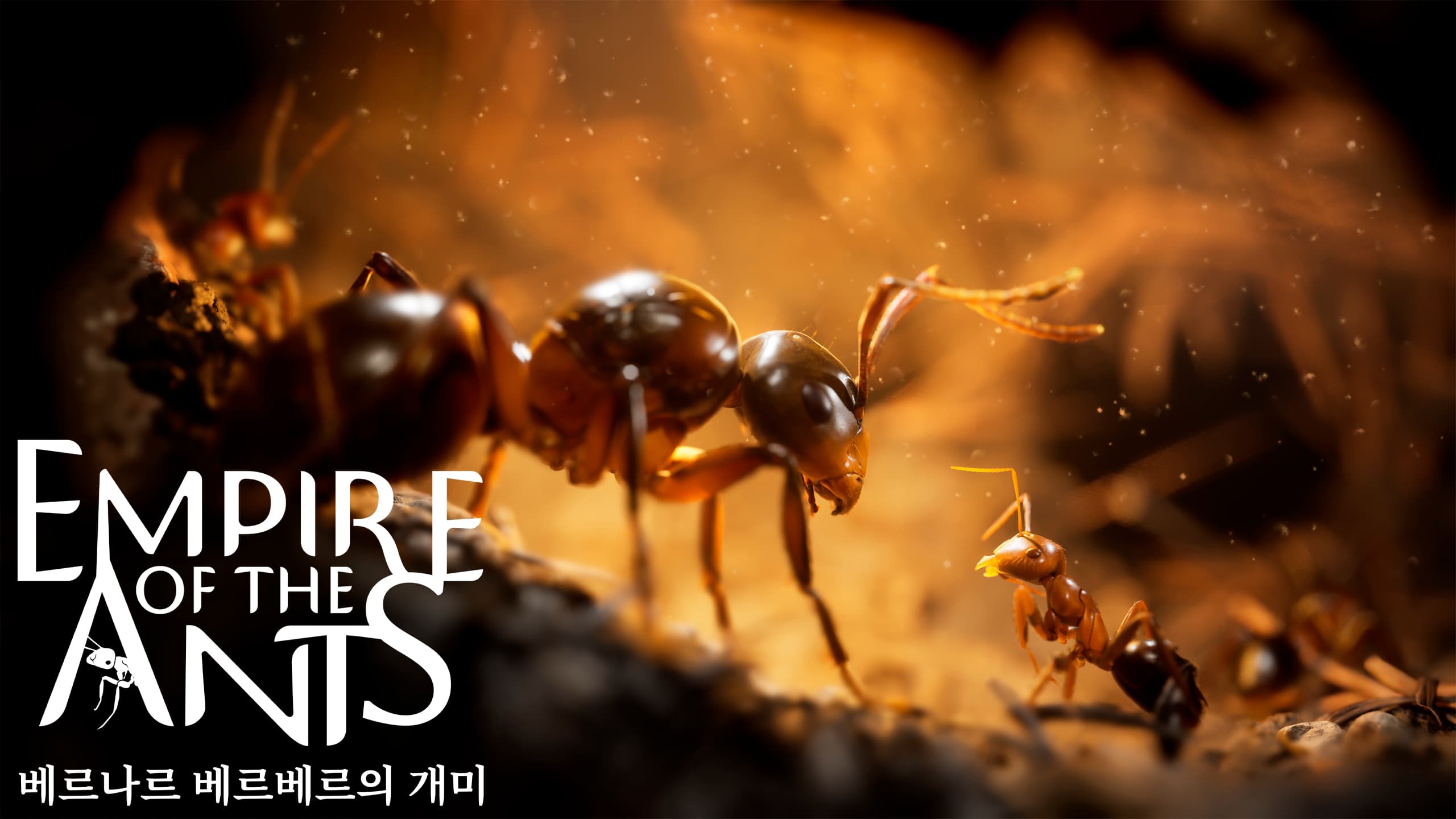 베르나르 베르베르의 개미(Empire of the Ants)